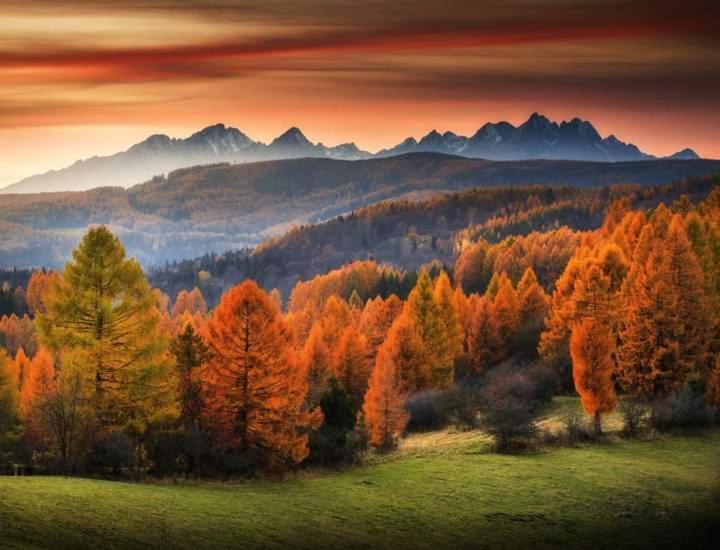 Tatry Panorama Apartmany Tatragolf Tatrzańska Łomnica Zewnętrze zdjęcie